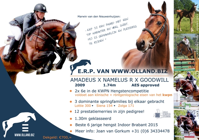 ERP van www.olland.biz (flyer gemaakt door Mirjam Thijs)